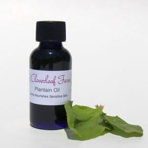 Plantain Oil